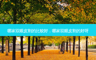 哪家双眼皮割的比较好，哪家双眼皮割的好呀