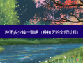 种牙多少钱一颗啊（种植牙的全部过程）