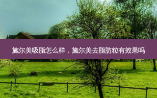 施尔美吸脂怎么样，施尔美去脂肪粒有效果吗