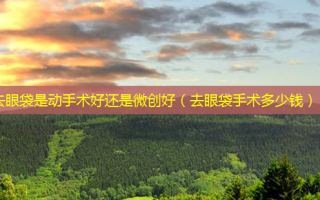 去眼袋是动手术好还是微创好（去眼袋手术多少钱）
