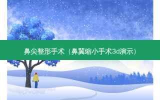 鼻尖整形手术（鼻翼缩小手术3d演示）