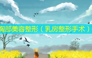 胸部美容整形（ *** 整形手术）