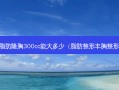 自体脂肪隆胸300cc能大多少（脂肪整形丰胸整形医院）