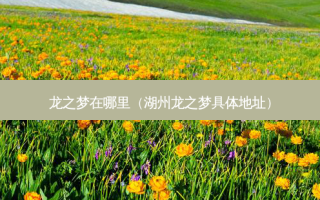 龙之梦在哪里（湖州龙之梦具体地址）