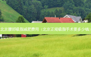北京腰部吸脂减肥费用（北京正规吸脂手术要多少钱）