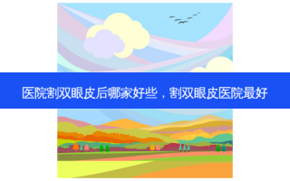 医院割双眼皮后哪家好些，割双眼皮医院 *** 