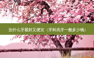 安什么牙好又便宜（牙科洗牙一般多少钱）