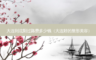 大连到沈阳过路费多少钱（大连好的整形美容）