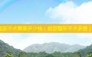 面部手术需要多少钱（脸部整形手术多贵）