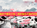 假体隆鼻术要多少钱（假体隆鼻术要好多钱）