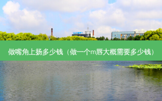 做嘴角上扬多少钱（做一个m唇大概需要多少钱）