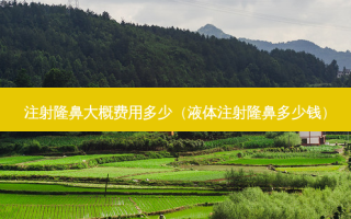 注射隆鼻大概费用多少（液体注射隆鼻多少钱）