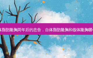 自体脂肪隆胸两年后的忠告，自体脂肪隆胸和假体隆胸哪个好