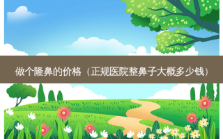做个隆鼻的价格（正规医院整鼻子大概多少钱）