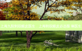 上海九院割双眼皮医生，上海割双眼皮必选薇 琳医生
