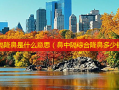 鼻中隔隆鼻是什么意思（鼻中隔综合隆鼻多少钱）