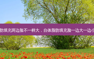 自体脂肪填充两边脸不一样大，自体脂肪填充脸一边大一边小怎么办