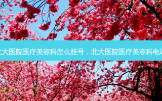 北大医院医疗美容科怎么挂号，北大医院医疗美容科 *** 