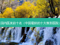 国内医美前十名（中国好的十大整形医院）