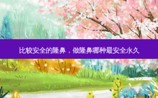 比较 *** 的隆鼻，做隆鼻哪种最 *** 永久
