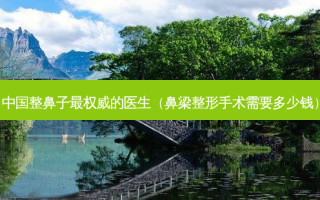 中国整鼻子的医生（鼻梁整形手术需要多少钱）