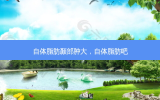 自体脂肪颞部肿大，自体脂肪吧