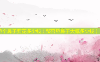 垫个鼻子要花多少钱（整容垫鼻子大概多少钱）