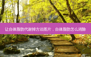 让自体脂肪代谢掉 *** 图片，自体脂肪怎么消除