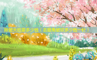 除皱大概要多少钱（去眼角皱纹多少钱一针）