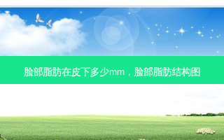 脸部脂肪在皮下多少mm，脸部脂肪结构图
