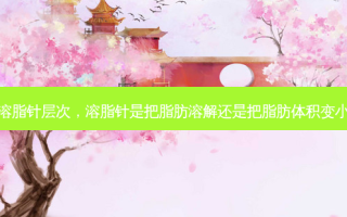 溶脂针层次，溶脂针是把脂肪溶解还是把脂肪体积变小