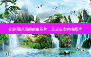 伤到肌肉层的疤痕图片，真皮皮衣疤痕图片