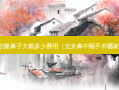 北京隆鼻子大概多少费用（北京鼻中隔手术哪家好）
