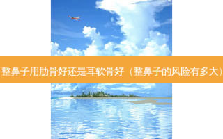 整鼻子用肋骨好还是耳软骨好（整鼻子的风险有多大）
