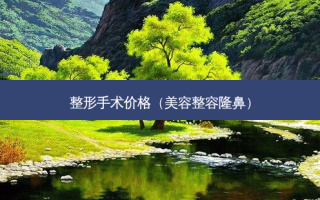 整形手术价格（美容整容隆鼻）