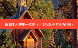 眼睛手术费用一览表（半飞秒和全飞秒的利弊）