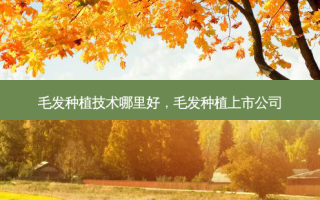 毛发种植技术哪里好，毛发种植上市公司