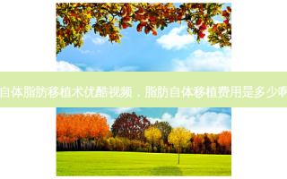 自体脂肪移植术优酷视频，脂肪自体移植费用是多少啊