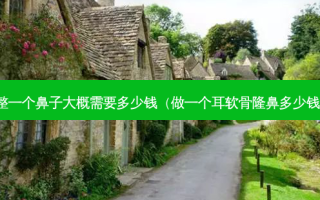 整一个鼻子大概需要多少钱（做一个耳软骨隆鼻多少钱）