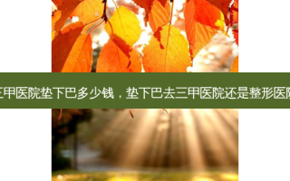 三甲医院垫下巴多少钱，垫下巴去三甲医院还是整形医院