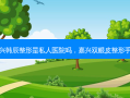 嘉兴韩辰整形是私人医院吗，嘉兴双眼皮整形手术