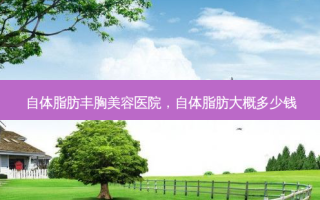 自体脂肪丰胸美容医院，自体脂肪大概多少钱