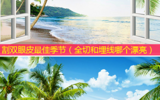 割双眼皮佳季节（全切和埋线哪个漂亮）