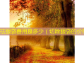 手术祛眼袋费用是多少（切除眼袋的价格）