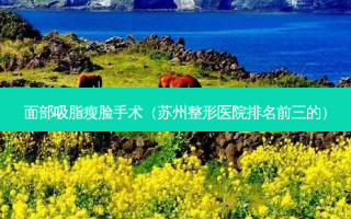 面部吸脂瘦脸手术（苏州整形医院排名前三的）