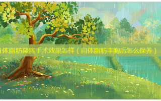 自体脂肪隆胸手术效果怎样（自体脂肪丰胸后怎么保养）