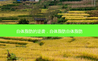 自体脂肪的逆袭，自体脂肪自体脂肪