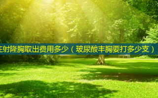 注射隆胸取出费用多少（玻尿酸丰胸要打多少支）