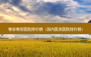 整容整形医院排行榜（国内医美医院排行榜）