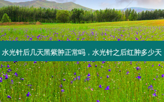 水光针后几天黑紫肿正常吗，水光针之后红肿多少天